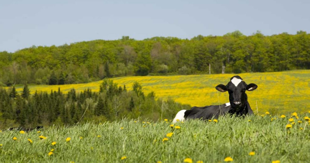Conseil consultatif agricole
