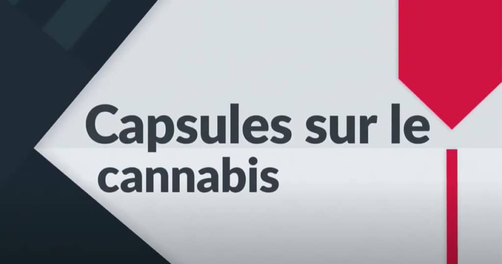 Quatre vidéos destinées aux parents pour parler «cannabis» avec leurs enfants