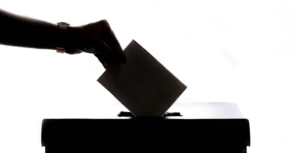 Infolettre d'août 2025 - Élections municipales 2025 et bilan de mi-année pour le transport adapté