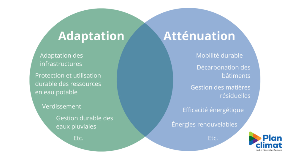 Schema-AdaptationAttenuation